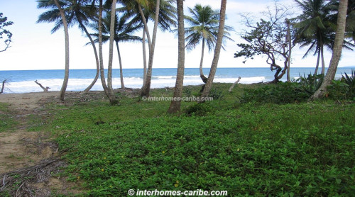 photos for GASPAR HERNANDEZ: BEACHFRONT PROPERTY ON THE POPULAR LAS CAÑAS BEACH