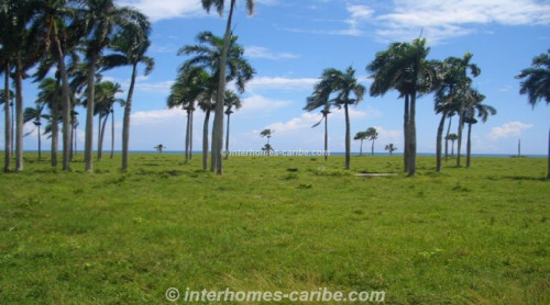 photos for LAS CAÑAS: LAND OF 50,000 M² / 12.36 ACRE WITH DIRECT SEA FRONT, OWNER FINANCING